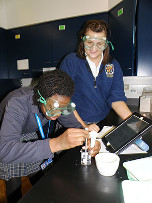 NDA_biology: Students conduct an experiment in IB Biology Class at Notre Dame Academy, Toledo.
